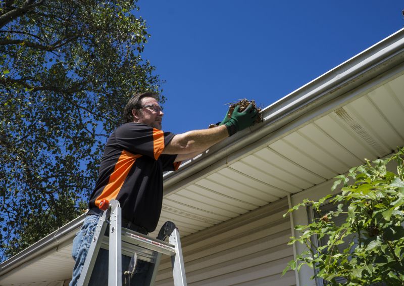 Gutter Maintenance Image 3